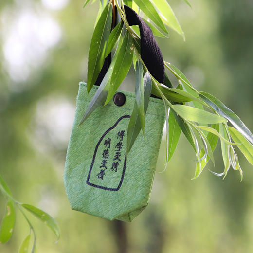 南医杜邦包 商品图4