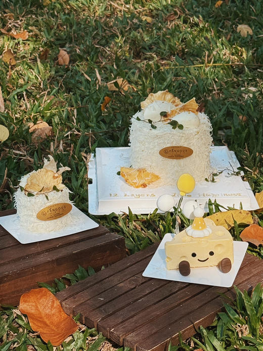 白屿椰斓 商品图3