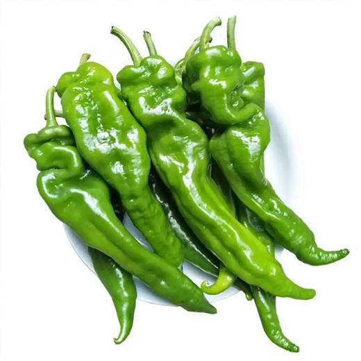 青螺丝椒 农家自种辣椒 现摘现发 中辣肉厚 商品图2