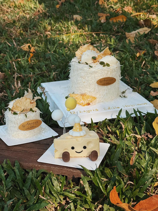 白屿椰斓 商品图10