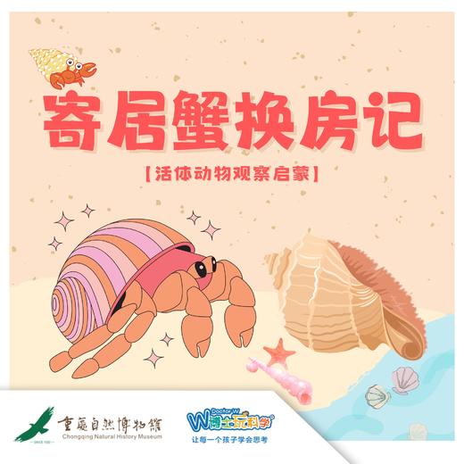 重庆自然博物馆 | 寄居蟹换房记 商品图0
