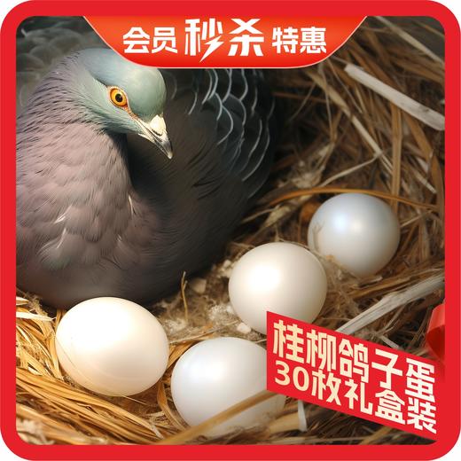 桂柳【会员秒杀】~新鲜鸽子蛋30枚礼盒装 商品图0