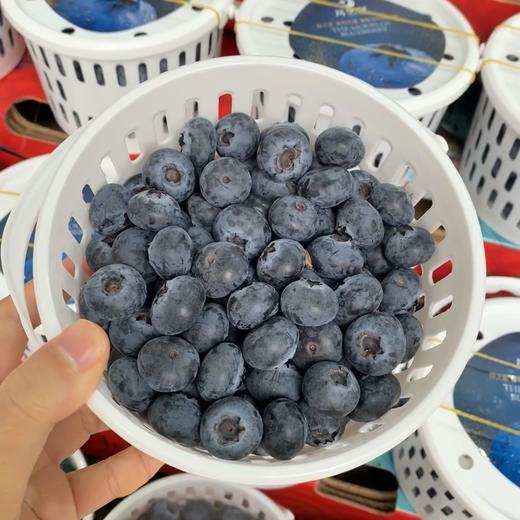 花香蓝莓 12+小果 商品图4