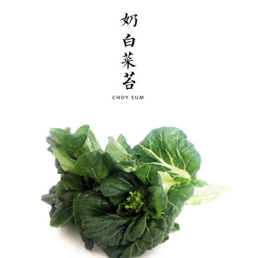 奶白菜苔  300g 商品图0