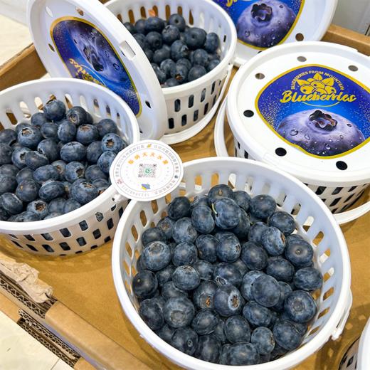 花香蓝莓 12+小果 商品图3