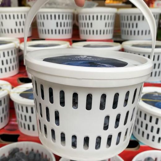 花香蓝莓 12+小果 商品图5