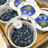 花香蓝莓 12+小果 商品缩略图7