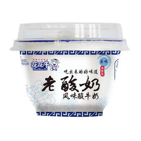 花花牛 原味老酸奶145g/个 益生菌风味发酵酸牛奶