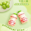 青提味 养乐多活性乳酸菌饮品100ml 商品缩略图0
