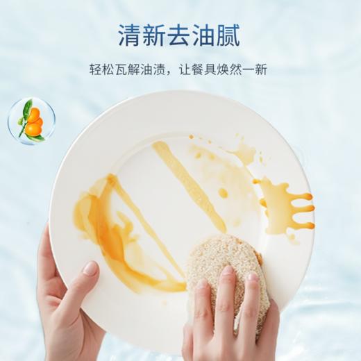 宝石花高效洗洁精1.1kg 商品图3