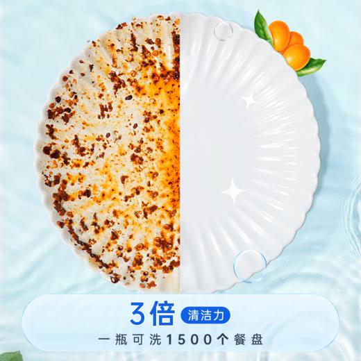 宝石花超浓缩洗洁精 商品图3