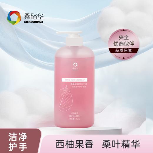 桑路华氨基酸清爽洗手液520g 商品图0