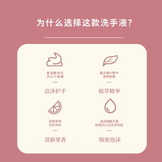 桑路华氨基酸清爽洗手液520g 商品图1