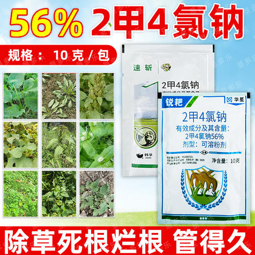 华星56%二甲四氯钠韩孚速斩2甲4氯钠锐耙小麦阔叶杂草除草剂正品 商品图4