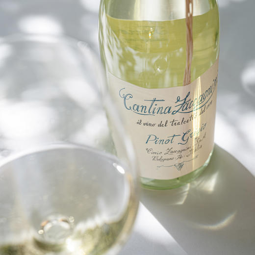 莎卡尼尼灰皮诺干白葡萄酒 12.5%vol 750ml 商品图3