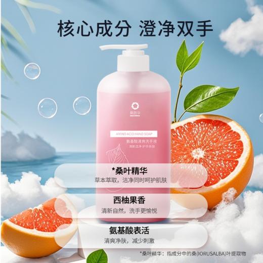 桑路华氨基酸清爽洗手液520g 商品图2