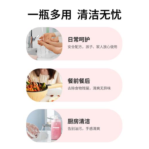 桑路华氨基酸清爽洗手液520g 商品图4