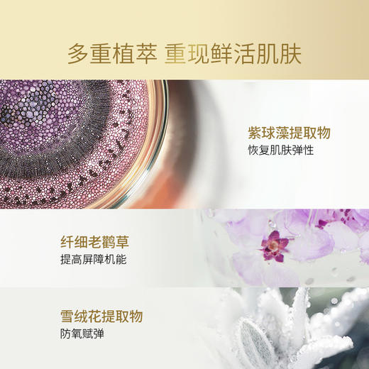 玛嘉思缇 时光密藏 新赋活夜间面膜 105g 商品图3