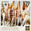 山养老母鸡(白皮) 商品缩略图2