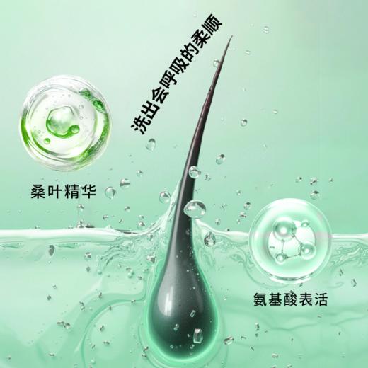 桑路华氨基酸丝滑洗发露520g 商品图3