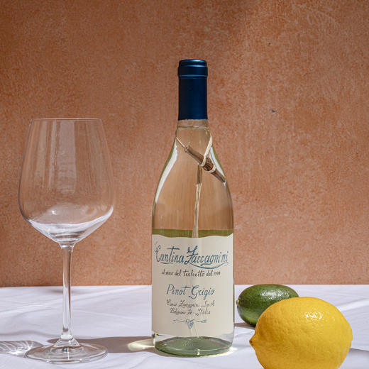 莎卡尼尼灰皮诺干白葡萄酒 12.5%vol 750ml 商品图2