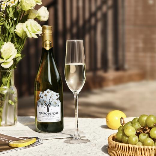 壹树花莫斯卡托甜白起泡葡萄酒 5.5%vol 750ml 商品图1