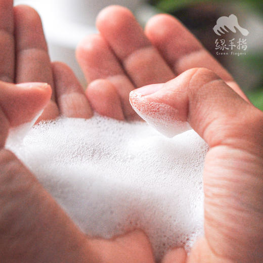 茶树柠檬草洗发慕斯(洗发水) | 合作生产*Tea tree lemon grass shampoo mousse | Partner Production 商品图1