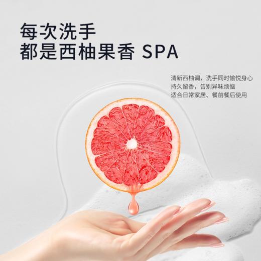 桑路华氨基酸清爽洗手液520g 商品图3