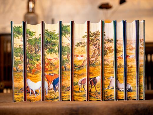 【买】南方周末年会员；【赠】《中国大历史》精装刷边全10册 商品图8