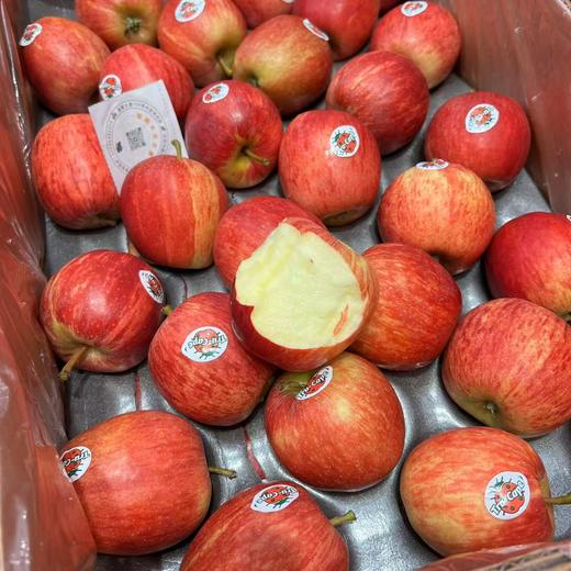 南非进口小苹果 甜脆爆款 商品图4