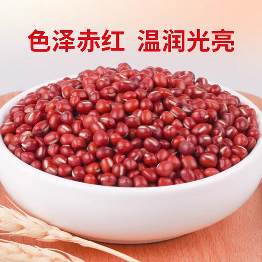 【有机】老爷岭有机红小豆400g 商品图2