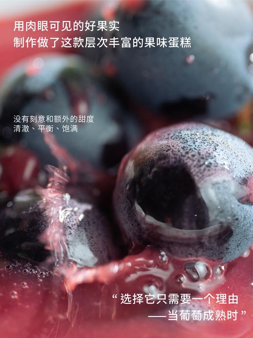 【一起走花路】紫蔓花瀑·葡萄奶油蛋糕 商品图3