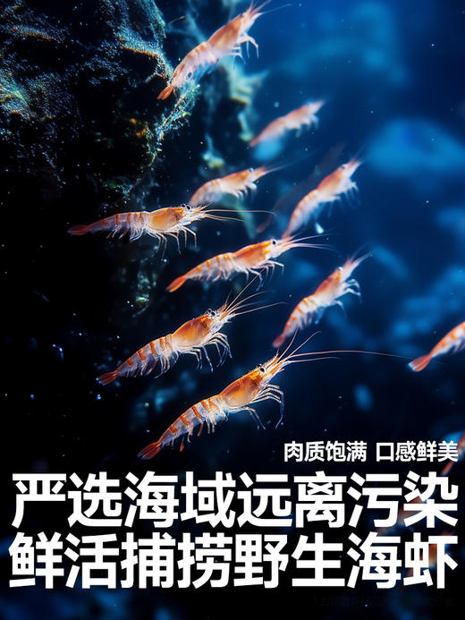 秋田满满-淡干虾皮（3件起发） 商品图1