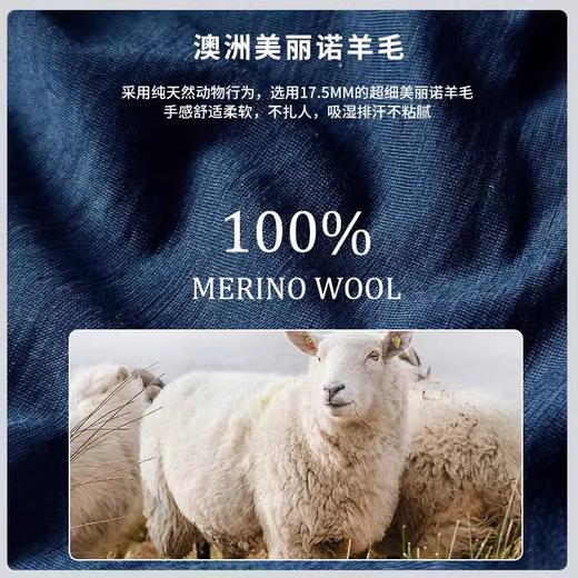 灰壳户外美利奴羊毛速干短袖排汗美丽诺网眼纹拼接运动登山T恤女 商品图2