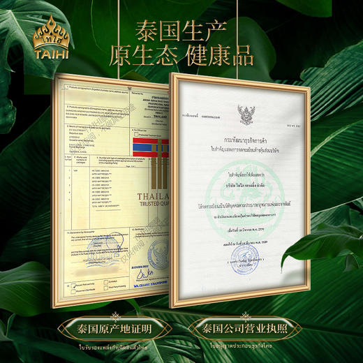 泰嗨TAIHI 旅行U型枕头颈托 泰国原装进口 天然乳胶 商品图4