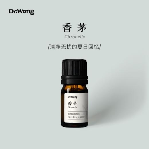 香茅 植物香薰精油 商品图0