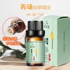 【特价】佰芳源无味免洗精油小瓶装10ml精油肩颈刮痧油美容院足浴按摩精油无香 商品缩略图1