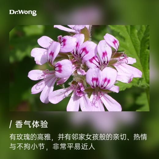 天竺葵 植物香薰精油 商品图1