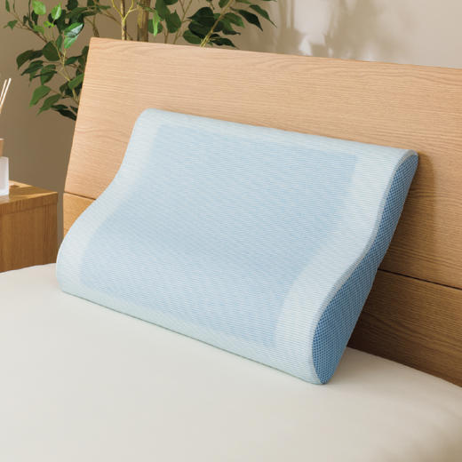 超冷感 记忆海绵凝胶枕 商品图0