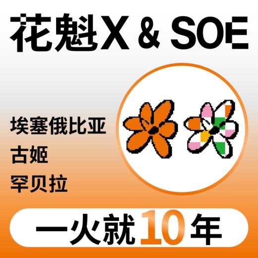 埃塞俄比亚罕贝拉花魁X  SOE日晒 精品手冲咖啡豆 商品图0