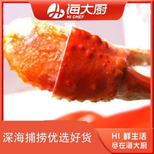 海大厨-二本爪（大） 商品图0