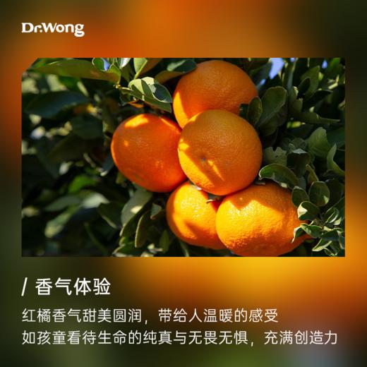 红橘 植物香薰精油 商品图1