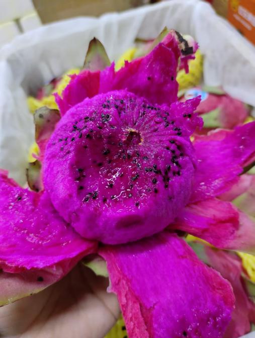 红心火龙果一个 商品图4