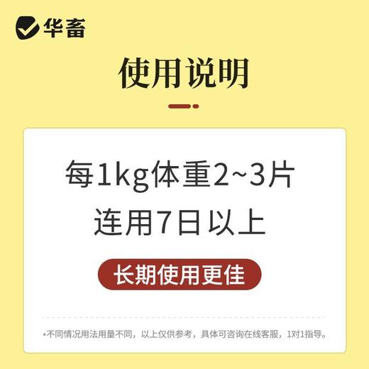 华畜鸽六联鸽子感冒水绿便歪头甩脖呕吐甩食鸽瘟流感缩头鸽子通用 商品图2
