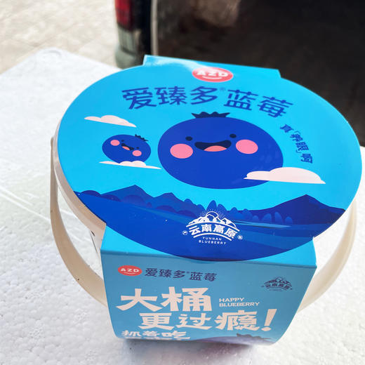 花香蓝莓22+（400g） 商品图0