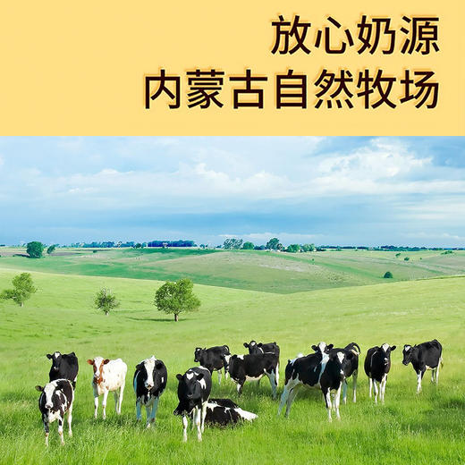 牧之父爆浆酸奶I草原奶盖I草原奶条508g 商品图4