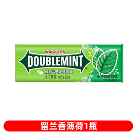 绿箭留兰香薄荷味 铁盒润口香糖果清新口气清凉接吻含片 23.8g