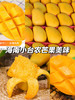 【产地优选】19.9元3斤树熟小台芒 商品缩略图5