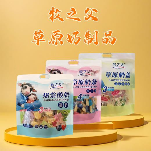 牧之父爆浆酸奶I草原奶盖I草原奶条508g 商品图0