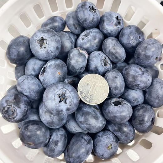 花香蓝莓22+（400g） 商品图2